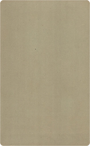 110105 - CDV - Altona - Ehlers - 2 Kinder - klein - verso