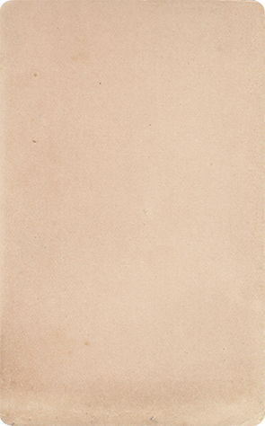 120504 - CDV - Hadersleben - Paulsen - Dame - verso