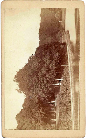 CDV Kiel Braune Eiderkanalkurve recte