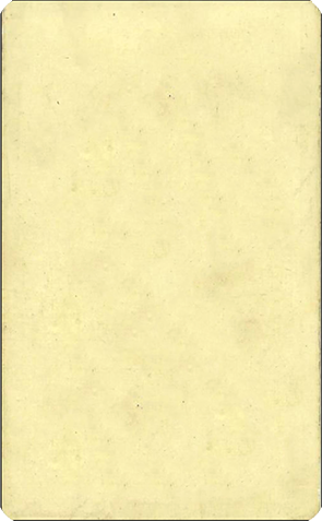 CDV Rendsburg Frber Damenbildnis verso