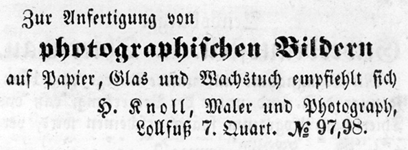 Schleswig Knoll Annonce klein