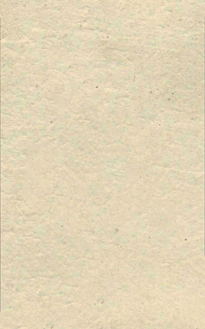CDV Tondern Bdewadt - Trachtenfrau verso