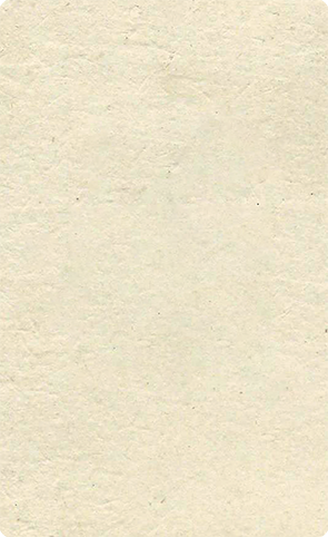 CDV Tondern Bdewadt - Paarbildnis - verso