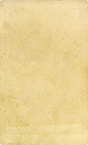CDV Wesselburen Mehlert, Detlef Mann, Frauenbrustbild - verso