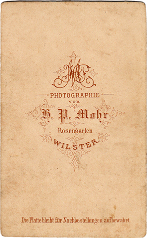 141902 - CDV - Wilster - Mohr - Damenhalbbild - verso
