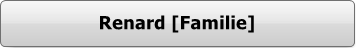 900220  Button - Fotografenfamilien - Renard